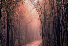 半岛体育：石宇奇领衔全主力阵容出战，国羽能否在伯明翰打赢“翻身仗”环球时报.