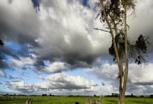 末节22-8!青岛男篮24分大胜新疆,杨瀚森22+15攻防一体 齐麟15+6.