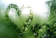 半岛体育：背后放倒王钰栋致其伤退，郑凯木微博遭大量球迷辱骂.