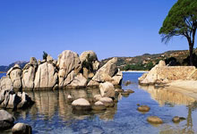 半岛体育：里程碑，达米安-马丁内斯为阿根廷国家队出场次.